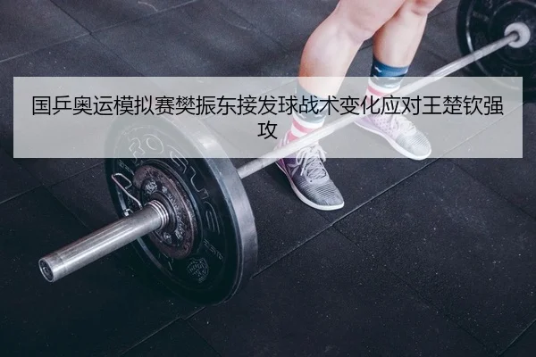 国乒奥运模拟赛樊振东接发球战术变化应对王楚钦强攻